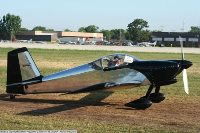 Paintschemeideas (11)