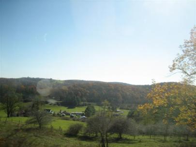 20111022 045 (Large)