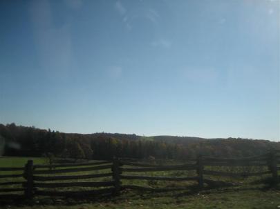 20111022 048 (Large)