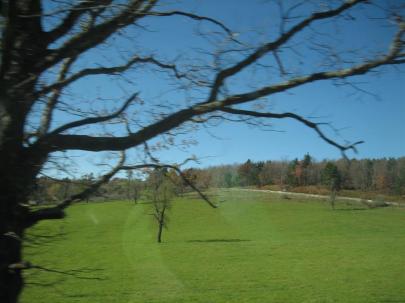 20111022 052 (Large)