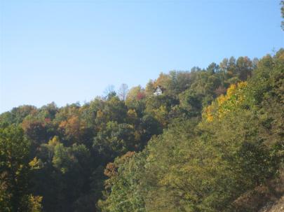 20111022 074 (Large)